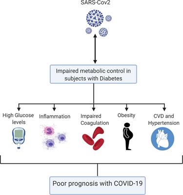 Frontiers | Impact Of Diabetes In Patients Diagnosed With COVID-19